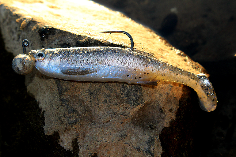 Shrap-Drakers.pl | Shrap Drakers Fishing | Wędkarstwo 