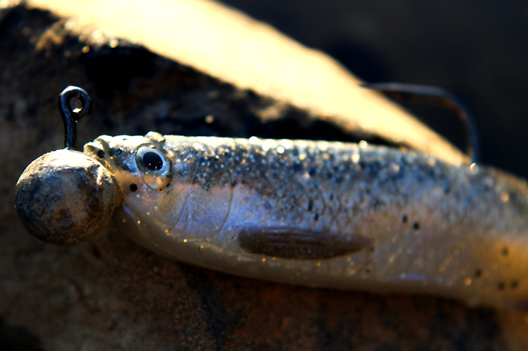 Shrap-Drakers.pl | Shrap Drakers Fishing | Wędkarstwo 