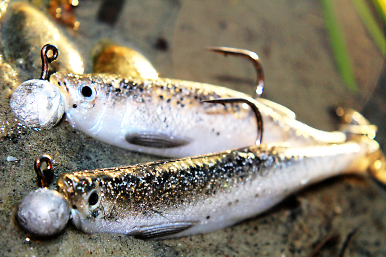 Shrap-Drakers.pl | Shrap Drakers Fishing | Wędkarstwo 