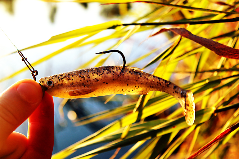 Shrap-Drakers.pl | Shrap Drakers Fishing | Wędkarstwo 