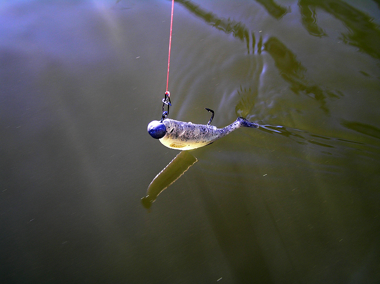 Shrap-Drakers.pl | Shrap Drakers Fishing | Wędkarstwo 