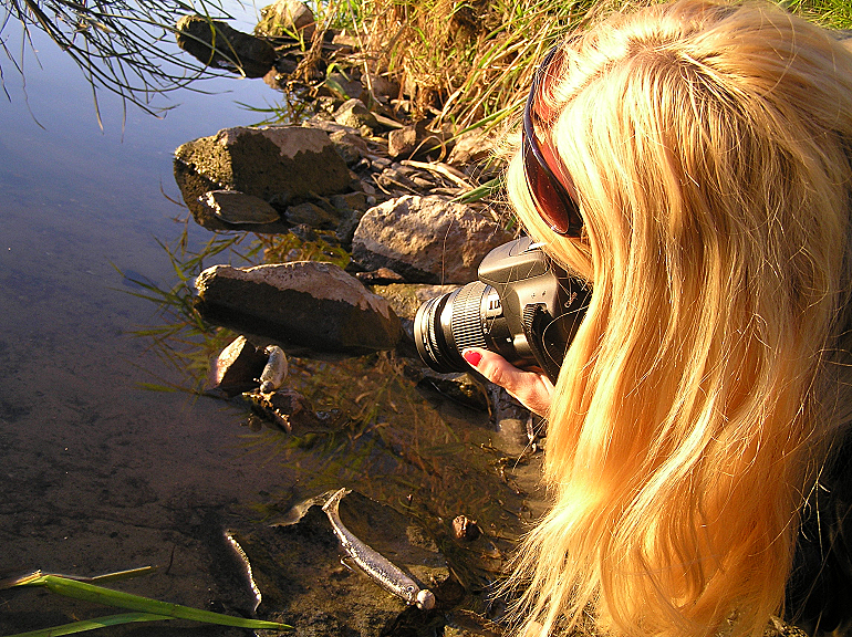 Shrap-Drakers.pl | Shrap Drakers Fishing | Wędkarstwo 