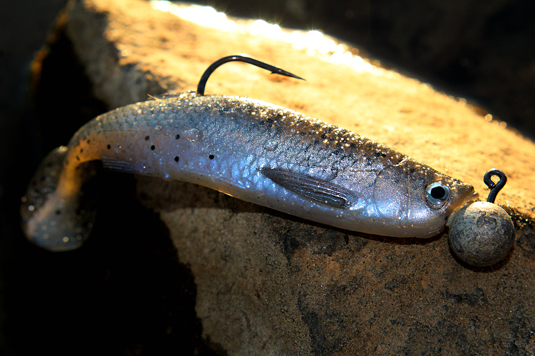 Shrap-Drakers.pl | Shrap Drakers Fishing | Wędkarstwo 