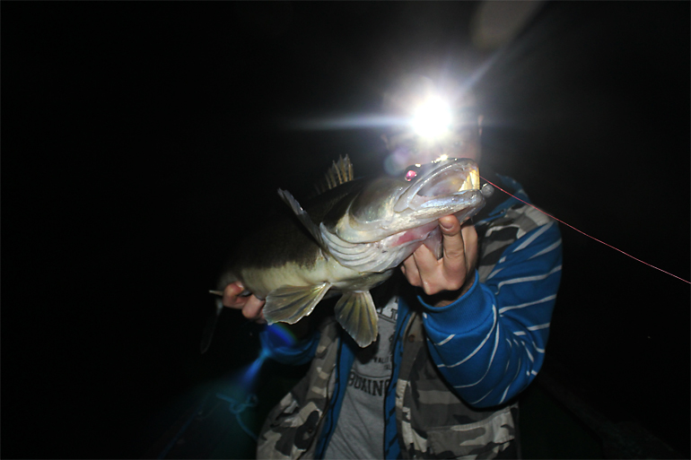 Shrap-Drakers.pl | Shrap Drakers Fishing | Wędkarstwo 