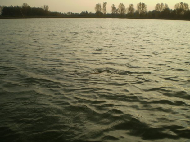 Shrap-Drakers.pl | Shrap Drakers Fishing | Wędkarstwo 