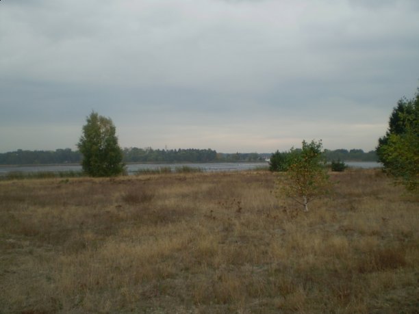 Shrap-Drakers.pl | Shrap Drakers Fishing | Wędkarstwo 