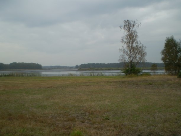 Shrap-Drakers.pl | Shrap Drakers Fishing | Wędkarstwo 