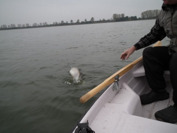 Shrap-Drakers.pl | Shrap Drakers Fishing | Wędkarstwo 