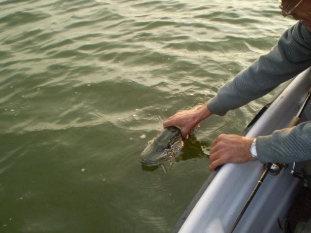 Shrap-Drakers.pl | Shrap Drakers Fishing | Wędkarstwo 