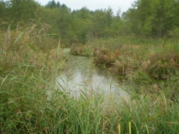 Shrap-Drakers.pl | Shrap Drakers Fishing | Wędkarstwo 