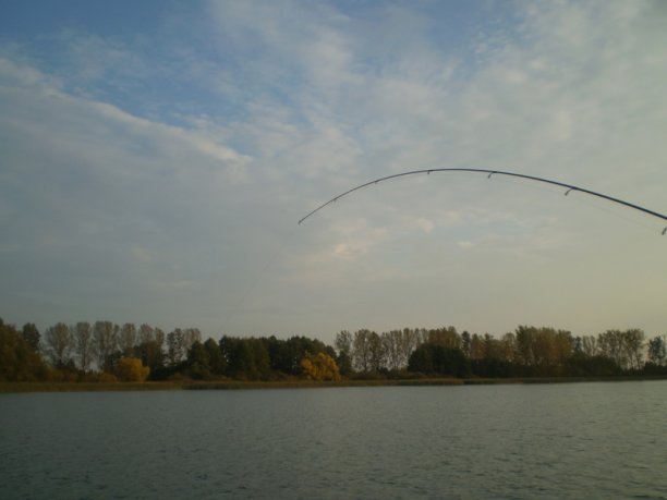 Shrap-Drakers.pl | Shrap Drakers Fishing | Wędkarstwo 