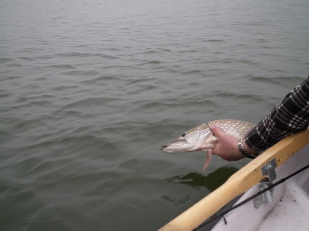 Shrap-Drakers.pl | Shrap Drakers Fishing | Wędkarstwo 