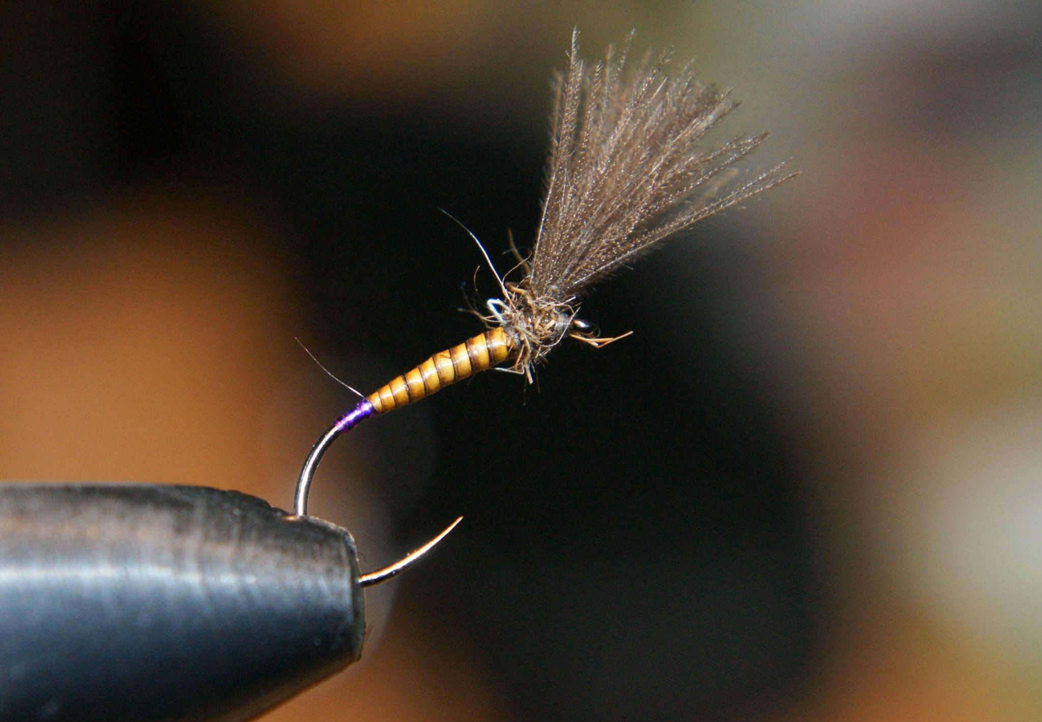 Shrap-Drakers.pl | Shrap Drakers Fishing | Wędkarstwo 