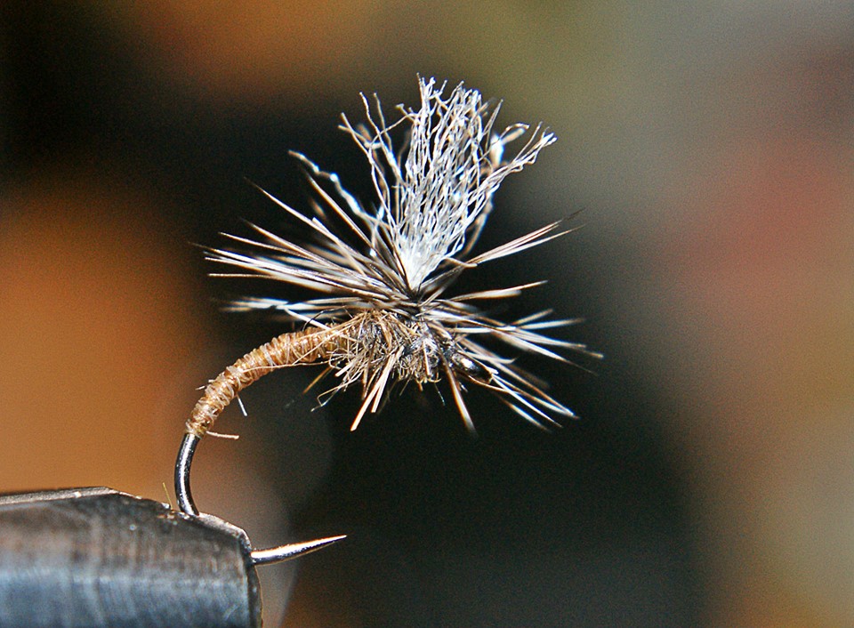 Shrap-Drakers.pl | Shrap Drakers Fishing | Wędkarstwo 