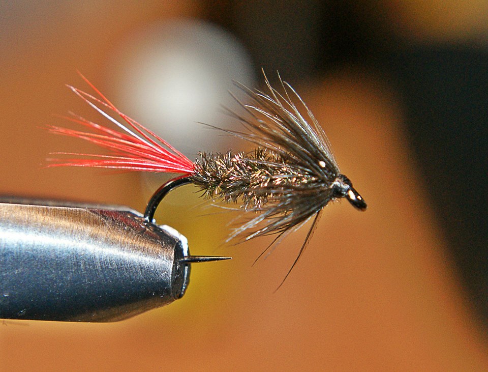 Shrap-Drakers.pl | Shrap Drakers Fishing | Wędkarstwo 