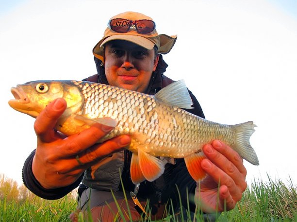 Shrap-Drakers.pl | Shrap Drakers Fishing | Wędkarstwo 