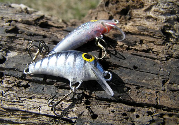 Shrap-Drakers.pl | Shrap Drakers Fishing | Wędkarstwo 