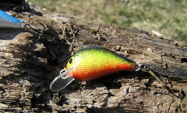 Shrap-Drakers.pl | Shrap Drakers Fishing | Wędkarstwo 