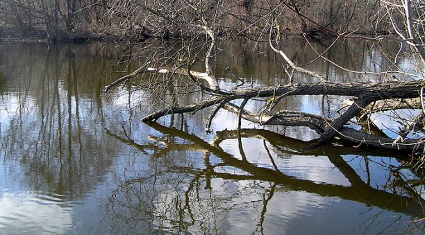 Shrap-Drakers.pl | Shrap Drakers Fishing | Wędkarstwo 