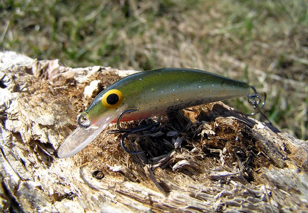 Shrap-Drakers.pl | Shrap Drakers Fishing | Wędkarstwo 