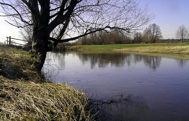 Shrap-Drakers.pl | Shrap Drakers Fishing | Wędkarstwo 