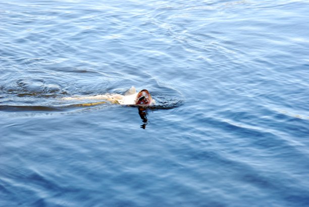 Shrap-Drakers.pl | Shrap Drakers Fishing | Wędkarstwo 