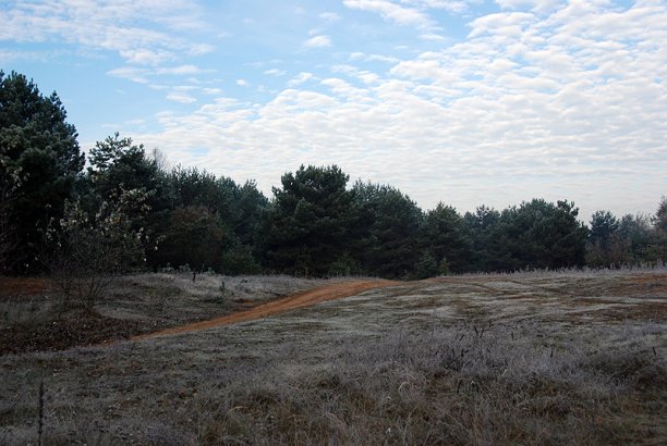 Shrap-Drakers.pl | Shrap Drakers Fishing | Wędkarstwo 