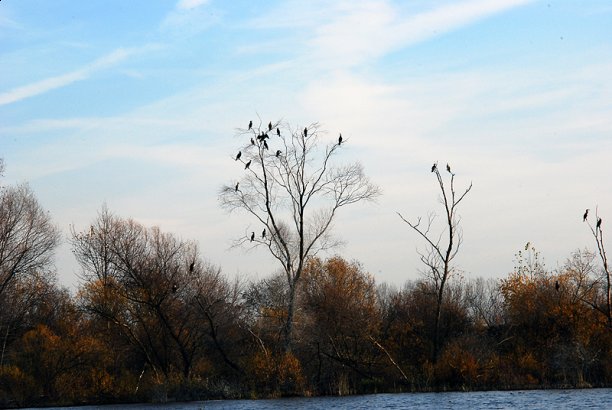 Shrap-Drakers.pl | Shrap Drakers Fishing | Wędkarstwo 