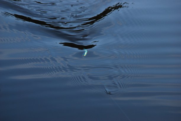 Shrap-Drakers.pl | Shrap Drakers Fishing | Wędkarstwo 