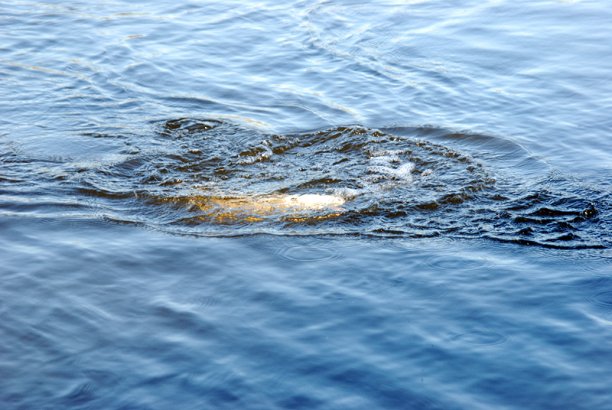 Shrap-Drakers.pl | Shrap Drakers Fishing | Wędkarstwo 