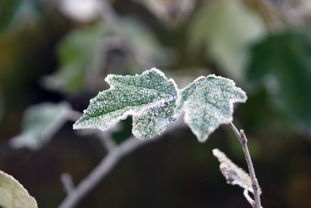 Shrap-Drakers.pl | Shrap Drakers Fishing | Wędkarstwo 