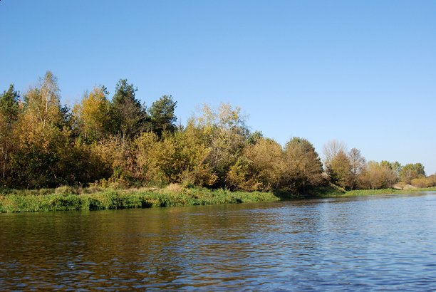 Shrap-Drakers.pl | Shrap Drakers Fishing | Wędkarstwo 