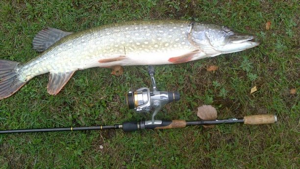 Shrap-Drakers.pl | Shrap Drakers Fishing | Wędkarstwo 