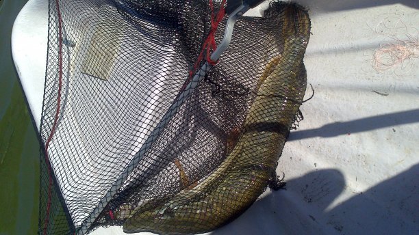 Shrap-Drakers.pl | Shrap Drakers Fishing | Wędkarstwo 