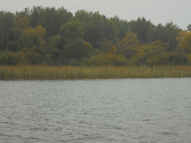 Shrap-Drakers.pl | Shrap Drakers Fishing | Wędkarstwo 