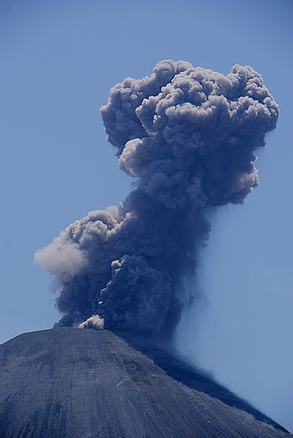 Shrap-Drakers.pl | Shrap Drakers Fishing | Wędkarstwo 