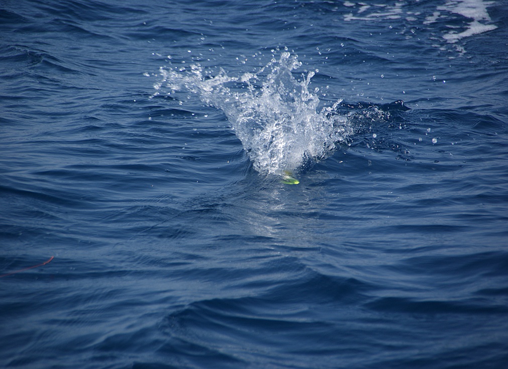 Shrap-Drakers.pl | Shrap Drakers Fishing | Wędkarstwo 