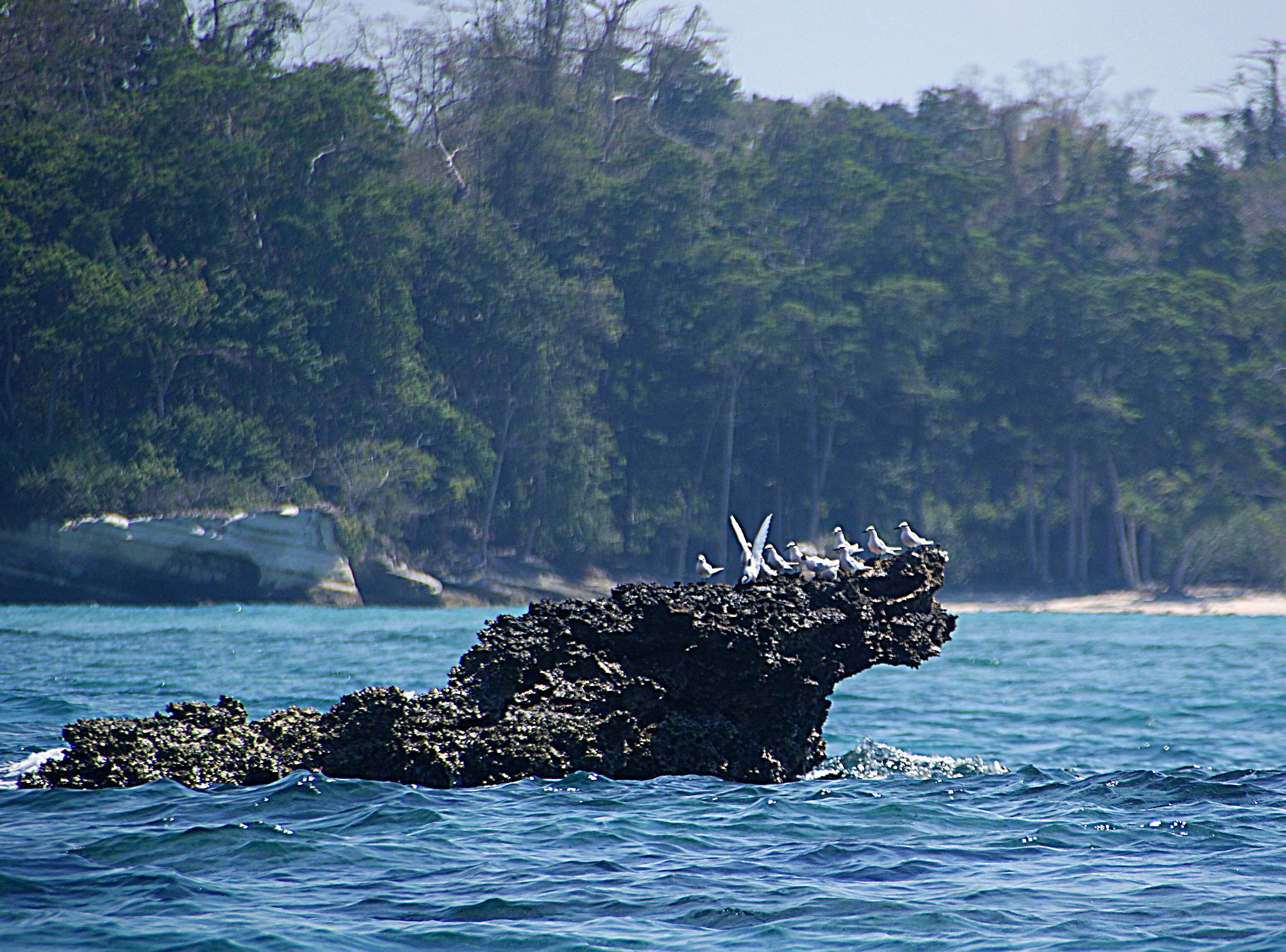 Shrap-Drakers.pl | Shrap Drakers Fishing | Wędkarstwo 