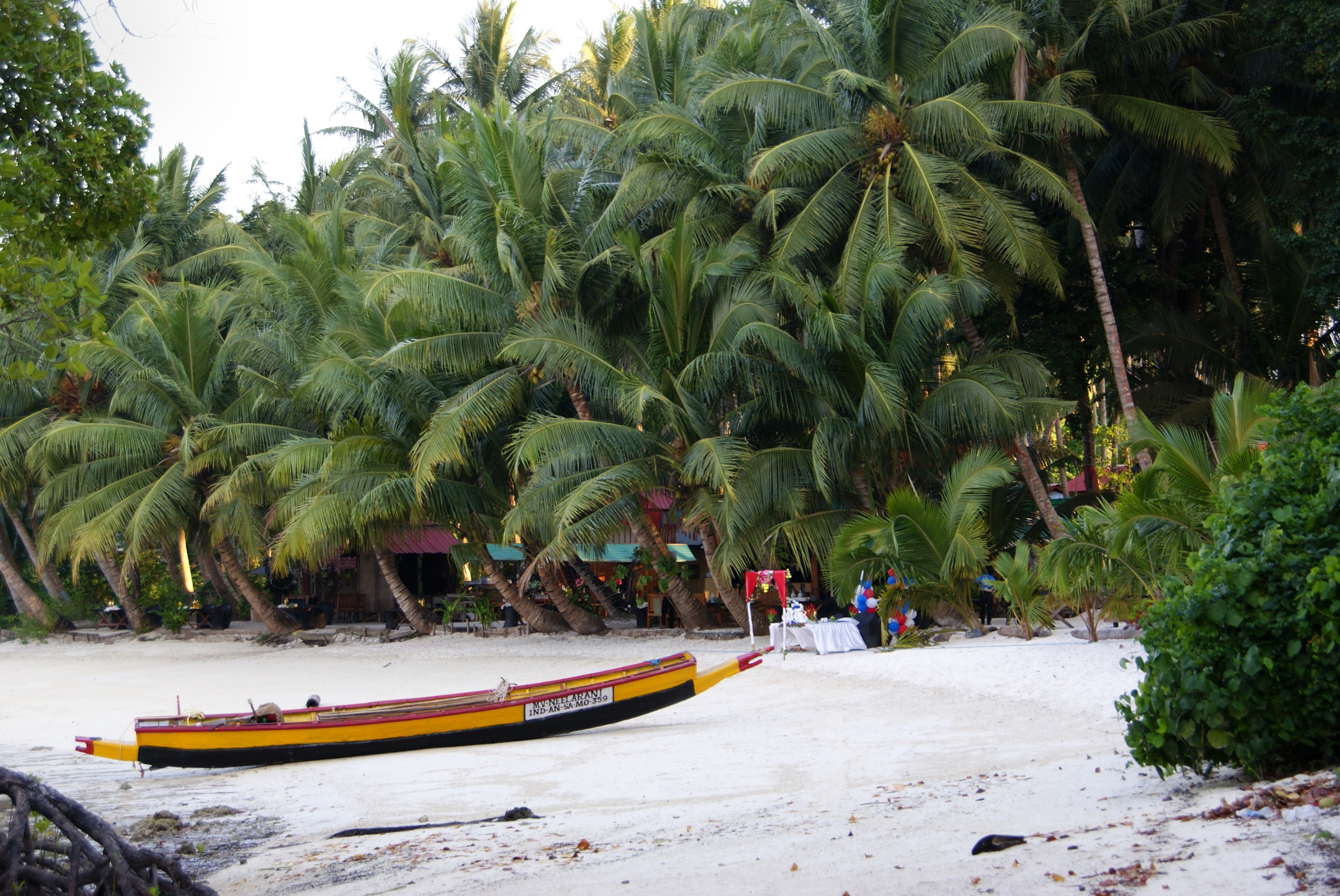 Shrap-Drakers.pl | Shrap Drakers Fishing | Wędkarstwo 