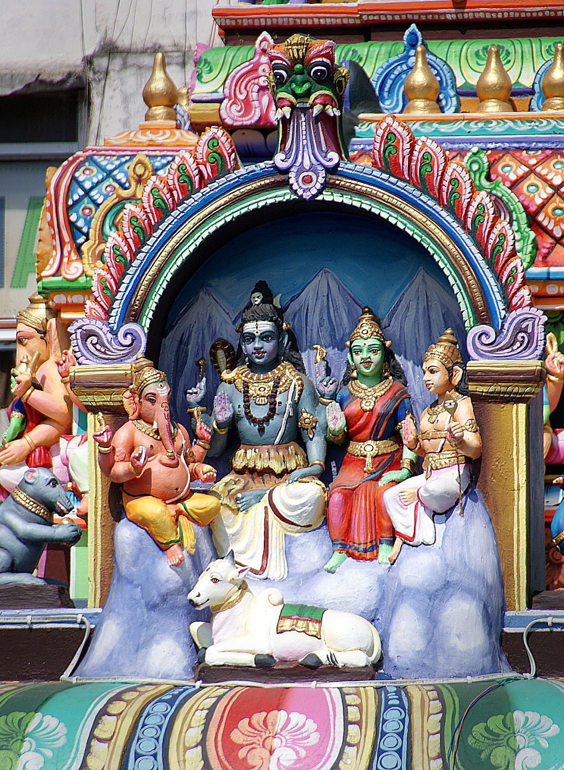 Shrap-Drakers.pl | Shrap Drakers Fishing | Wędkarstwo 