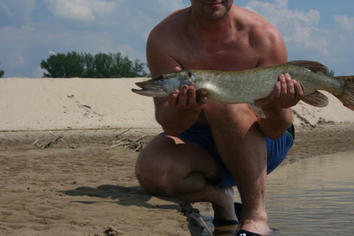 Shrap-Drakers.pl | Shrap Drakers Fishing | Wędkarstwo 