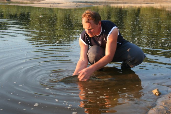 Shrap-Drakers.pl | Shrap Drakers Fishing | Wędkarstwo 