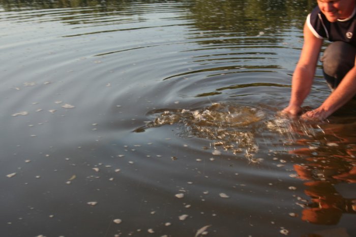 Shrap-Drakers.pl | Shrap Drakers Fishing | Wędkarstwo 