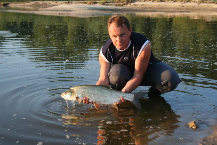 Shrap-Drakers.pl | Shrap Drakers Fishing | Wędkarstwo 