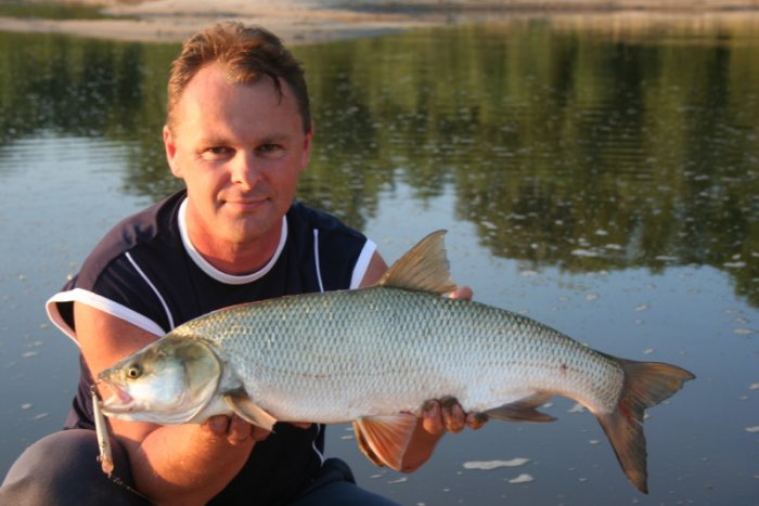 Shrap-Drakers.pl | Shrap Drakers Fishing | Wędkarstwo 