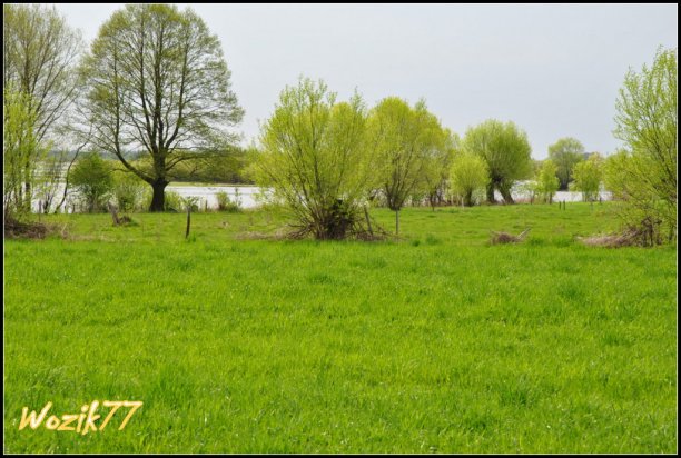 Shrap-Drakers.pl | Shrap Drakers Fishing | Wędkarstwo 