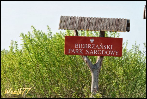 Shrap-Drakers.pl | Shrap Drakers Fishing | Wędkarstwo 