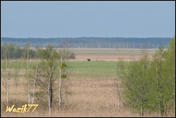 Shrap-Drakers.pl | Shrap Drakers Fishing | Wędkarstwo 