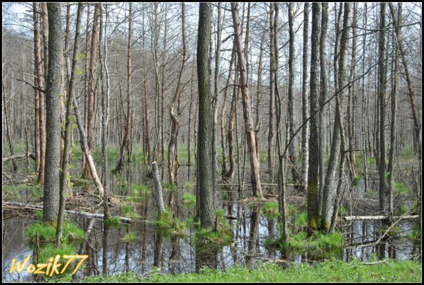 Shrap-Drakers.pl | Shrap Drakers Fishing | Wędkarstwo 