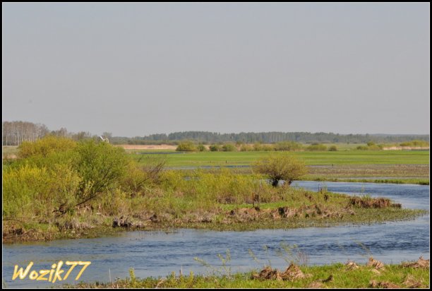 Shrap-Drakers.pl | Shrap Drakers Fishing | Wędkarstwo 